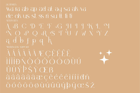 Wakile Typeface Font Storytype Studio 