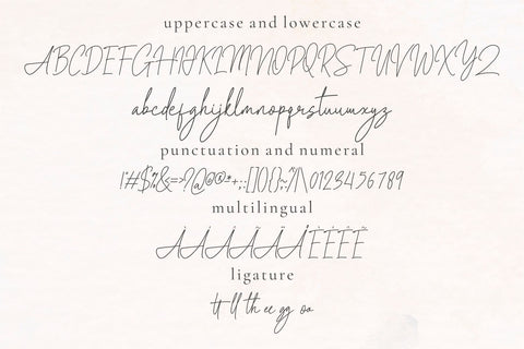 Walcotte Font toni_std 