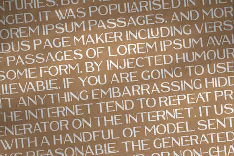 WALDECRY Typeface Font Storytype Studio 