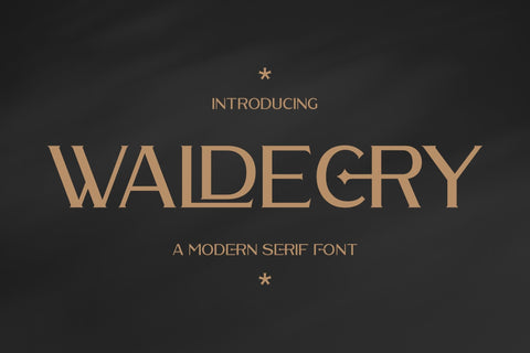 WALDECRY Typeface Font Storytype Studio 