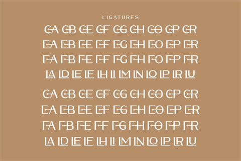 WALDECRY Typeface Font Storytype Studio 