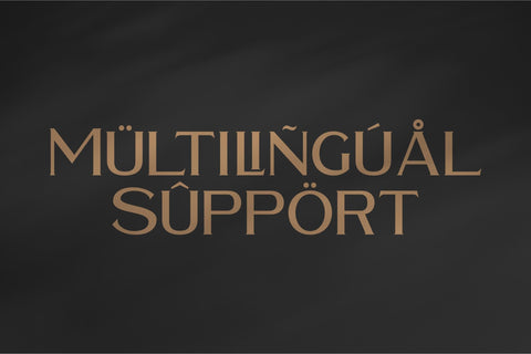 WALDECRY Typeface Font Storytype Studio 