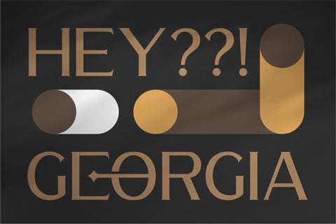 WALDECRY Typeface Font Storytype Studio 