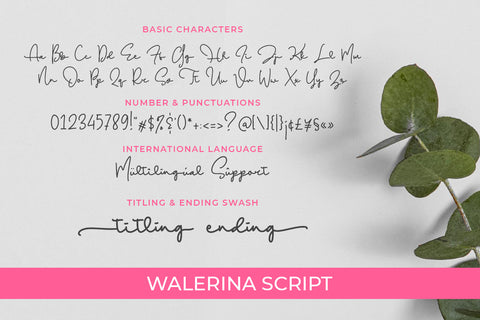 Walerina Font Duo Font Abo Daniel Studio 
