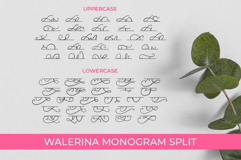 Walerina Font Duo Font Abo Daniel Studio 