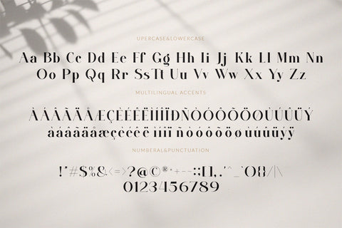 walking Straight_font duo Font toni_std 