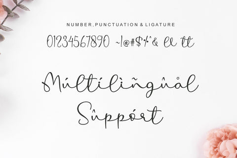 Wallner Font Afandi Studio 