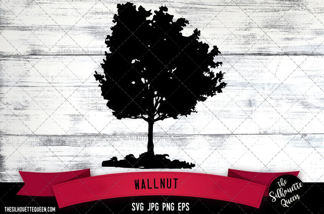 Wallnut SVG -Vector Art Commercial & Personal Use- Cricut,Silhouette,Cameo,Vinyl Cut SVG Loveleen Kaur 