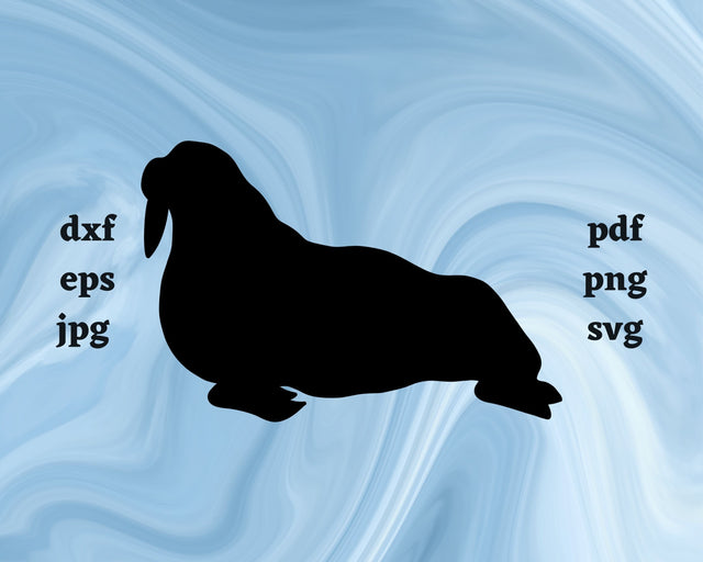 Walrus SVG Cut File SVG Northern Light SVG 