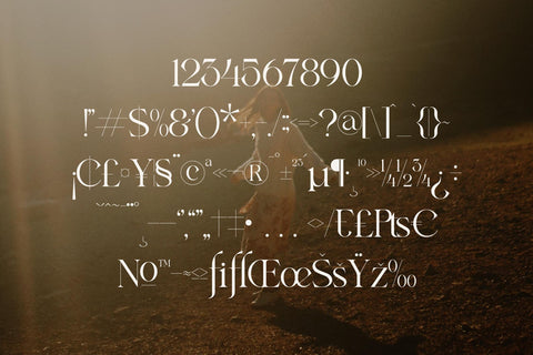 wargika Typeface Font Storytype Studio 