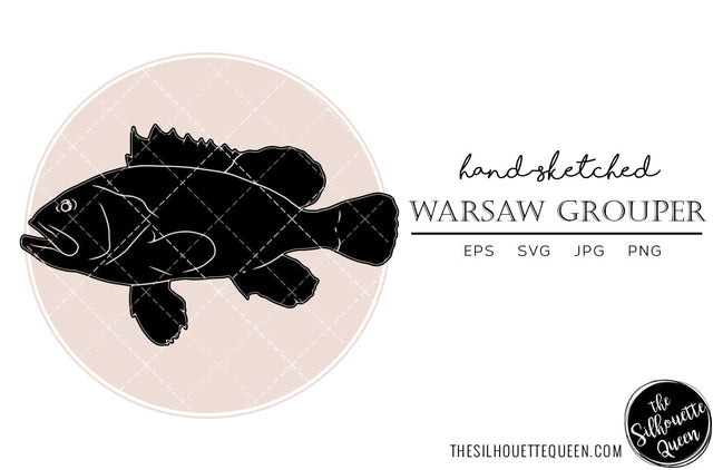 Warsaw grouper Hand sketched, hand drawn vector clipart SVG Loveleen Kaur 
