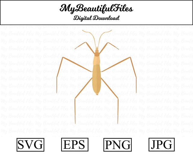 water strider - insect SVG MyBeautifulFiles 