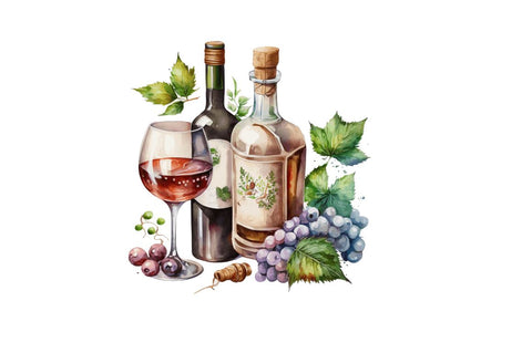 Watercolor Alcohol clipart Bundle Sublimation Regulrcrative 