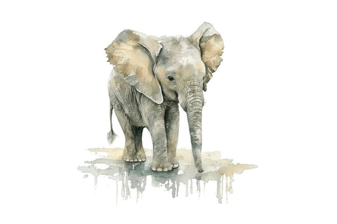 Watercolor Baby Elephant Clipart Bundle Sublimation Regulrcrative 