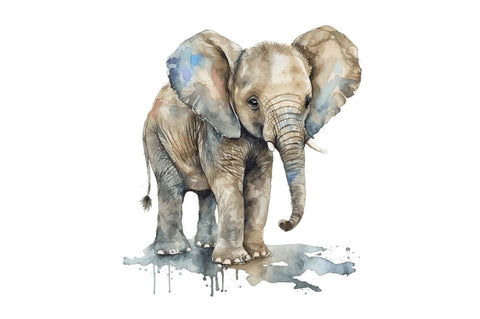 Watercolor Baby Elephant Clipart Bundle Sublimation Regulrcrative 