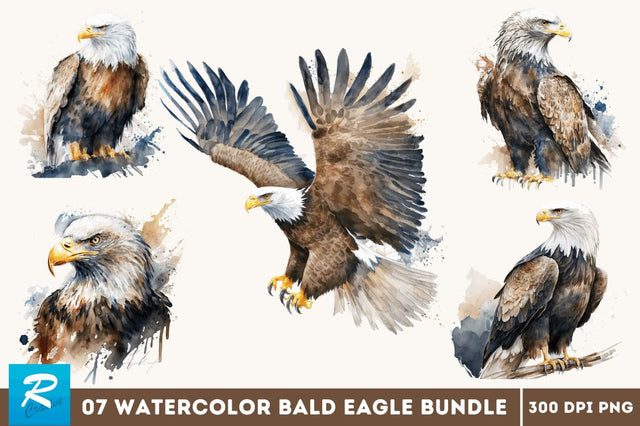 Watercolor Bald Eagle Clipart Bundle Sublimation Regulrcrative 
