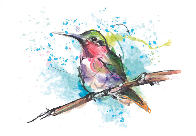 Watercolor Bird png, sublimation graphics, clipart Sublimation sublimationhappy 