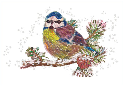 Watercolor Bird png, Sublimation graphics, Winter, Christmas Sublimation sublimationhappy 