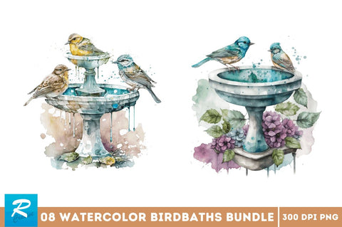 Watercolor Birdbaths Bundle Sublimation Regulrcrative 