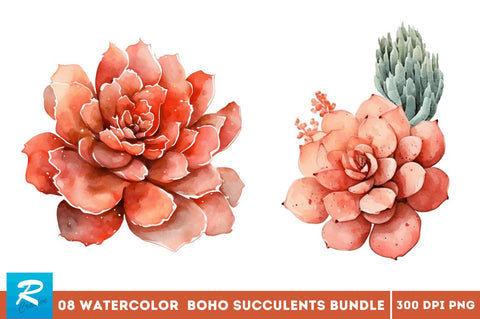 Watercolor Boho Succulents Clipart Bundle Sublimation Regulrcrative 