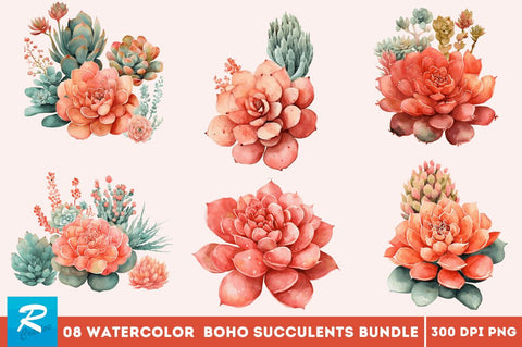 Watercolor Boho Succulents Clipart Bundle Sublimation Regulrcrative 