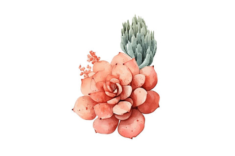 Watercolor Boho Succulents Clipart Bundle Sublimation Regulrcrative 