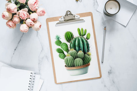 Watercolor Cactus Clipart Bundle Sublimation Regulrcrative 