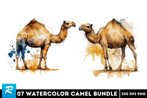 Watercolor Camel clipart Bundle Sublimation Regulrcrative 