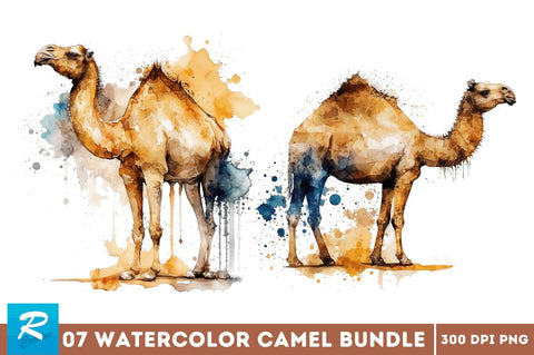 Watercolor Camel clipart Bundle Sublimation Regulrcrative 