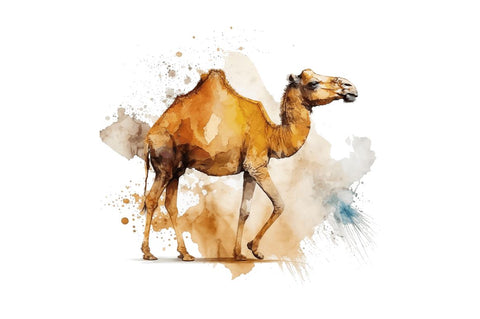 Watercolor Camel clipart Bundle Sublimation Regulrcrative 