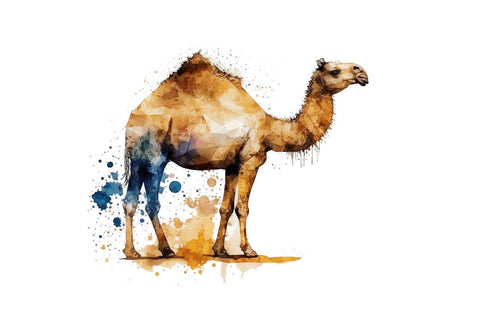 Watercolor Camel clipart Bundle Sublimation Regulrcrative 