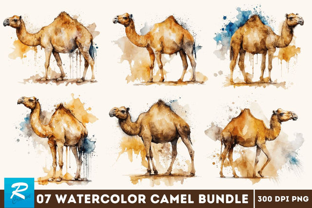Watercolor Camel clipart Bundle Sublimation Regulrcrative 