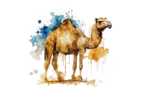 Watercolor Camel clipart Bundle Sublimation Regulrcrative 