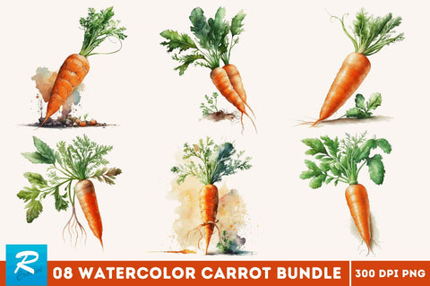 Watercolor Carrot clipart Bundle Sublimation Regulrcrative 