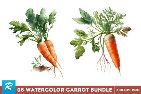 Watercolor Carrot clipart Bundle Sublimation Regulrcrative 