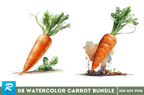 Watercolor Carrot clipart Bundle Sublimation Regulrcrative 