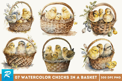 Watercolor Chicks in a Basket Clipart Bundle Sublimation Regulrcrative 