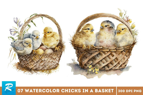 Watercolor Chicks in a Basket Clipart Bundle Sublimation Regulrcrative 