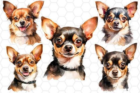 Watercolor Chihuahua Clipart PNG Sublimation DreanArtDesign 