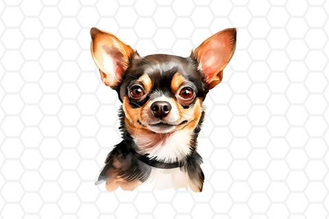 Watercolor Chihuahua Clipart PNG Sublimation DreanArtDesign 
