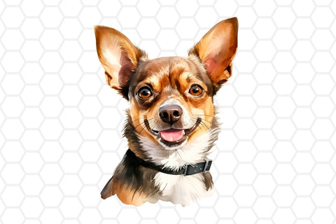 Watercolor Chihuahua Clipart PNG Sublimation DreanArtDesign 