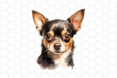 chiwawa clipart