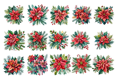 Watercolor Christmas Flower Clipart Sublimation Rupkotha 