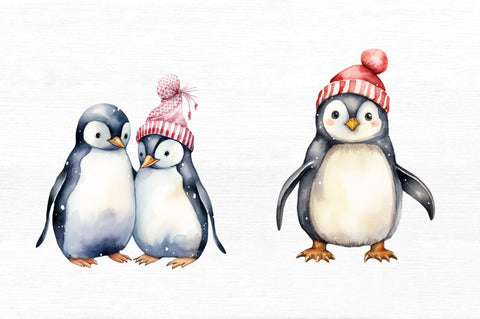 Watercolor Christmas Penguin Clipart Sublimation Regulrcrative 