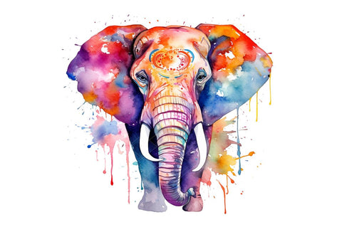 Watercolor Colorful Elephant Clipart Bundle Sublimation Regulrcrative 