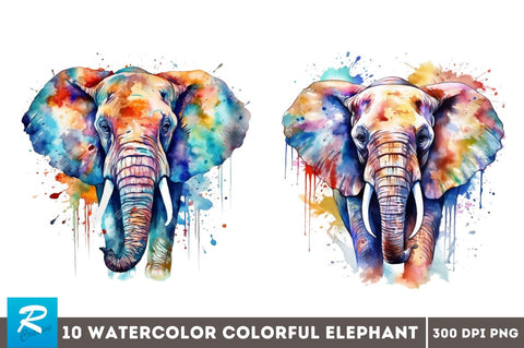 Watercolor Colorful Elephant Clipart Bundle Sublimation Regulrcrative 
