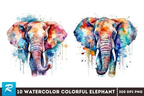 Watercolor Colorful Elephant Clipart Bundle Sublimation Regulrcrative 