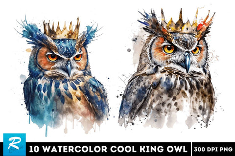 Watercolor Cool King Owl Bundle Sublimation Regulrcrative 