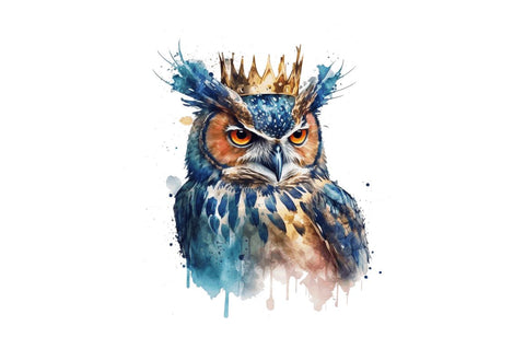 Watercolor Cool King Owl Bundle Sublimation Regulrcrative 
