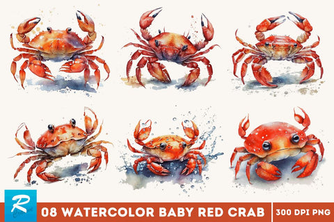 Watercolor Cute Baby Red Crab Bundle Sublimation Regulrcrative 